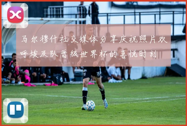 马尔穆什社交媒体分享庆祝照片欢呼埃及队晋级世界杯的喜悦时刻
