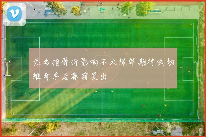 无名指骨折影响不大绿军期待武切维奇季后赛前复出