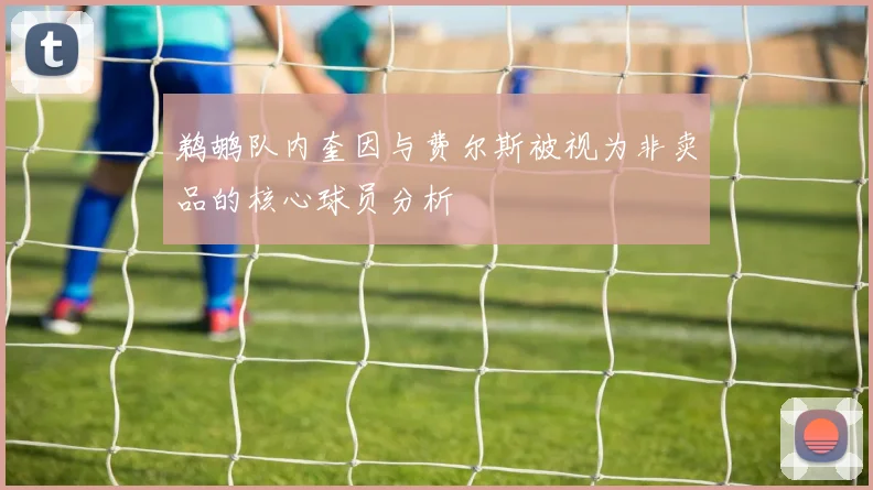鹈鹕队内奎因与费尔斯被视为非卖品的核心球员分析
