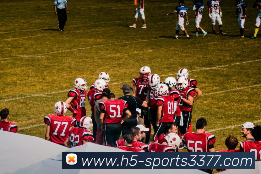 3377体育品牌故事