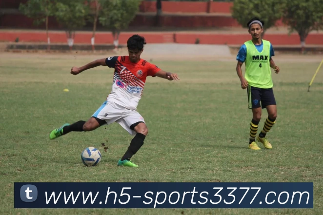 3377体育服务体系