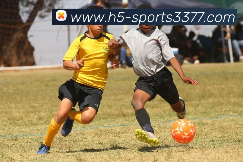 3377体育APP 体育赛事宣传图